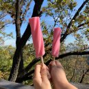 동성아파트 진입로 | [서울 나들이] 장비없이 용마산~아차산 등산 후기