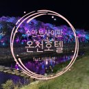 석문동천 | [숙소리뷰] 충주 수안보 사이판 온천호텔(feat.석문동천, 꿩요리)