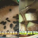 영월약초 - 안산시 상록구 | 영월약초