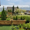 에코가든 이미지