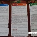 이현동 이현웰가아파트 앞 이미지