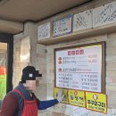 벌떡꼼장어