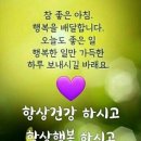 싱그러운아침