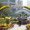 구청 남측광장 이미지