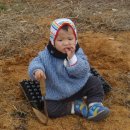 태기농장 이미지