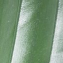 태안내과의원 이미지