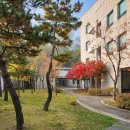 생활문해교실 | 영통도서관 우리동네 디지털생활문해교실 강의 후기