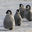 태안휴게소 이미지