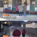 최씨스토리 이미지