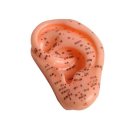 진산메디칼 이미지