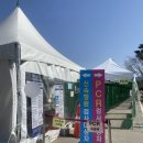 도이리슈퍼 | [향남 선별진료소] pcr, 신속항원 검사 후기 / 신속항원 검사 중단