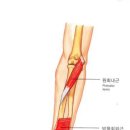 몸짱만들기 GYM 이미지