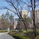 압구정-116 이미지