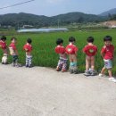 다인농장 이미지