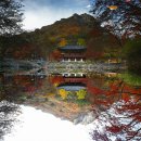 가인야영장 이미지