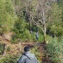 강천농장 이미지