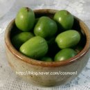 다래실천 이미지