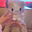 즐거운드라이세상 | [DRYROSE] 드라이로즈 빅 리본 후디 화이트 후기 (BIG RIBBON HOODIE)