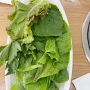 강길도낙지마을 이미지