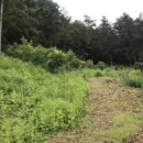 고송보건진료소 이미지