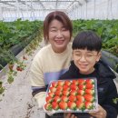 볼빨간농장