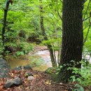 장유사 공중화장실 이미지