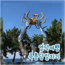국립영덕청소년 해양환경센터체험관 | 즉흥 당일치기 영덕여행 (하저해수욕장, 국립청소년해양센터, 보움카페, 해파랑공원, 대게)