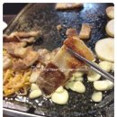 꿀꿀이네 이미지