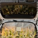 꽃길이어라(플라워디자인) 이미지