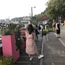 해방촌마을정원사 이미지