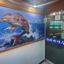 소로(국)1-5-1 이미지