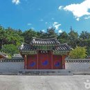 영암곤충박물관 이미지