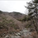 함양얼음