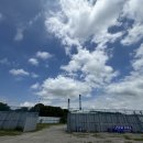 남양만로 이미지