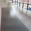 핑크강아지 이미지