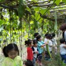 다우리어린이집 이미지