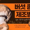 [터치정보農 27편] 버섯 종균 제조방법! 경기도농업기술원 공식유튜브 구독자 5.7천명 이미지