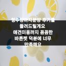 바른 애견 | 청주강아지분양 후기를 들려드릴게요 애견미용까지 꼼꼼한 바른펫 덕분에 너무 만족해요