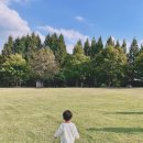 인계동 1128 야외음악당 사거리 | 수원 인계예술공원 ㅡ 가을 아기랑 공원 도장깨기 챌린지 다섯번째 / 경기도 아기랑 가기 좋은 공원...