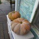 주형농장 이미지