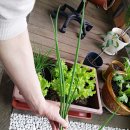 중랑화원 이미지