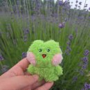 라벤더프렌즈 이미지