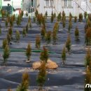 시민의원 이미지