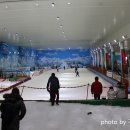 웅진태권도체육관 이미지