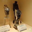 셀리시움 이미지