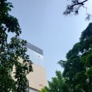 스타일지움 이미지