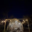 별다리 캠핑 | 가평글캠핑 서울 근교 1박여행 별다리글램핑 반려동물 동반 가능