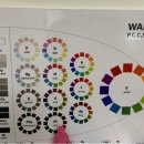 리즈컬러 이미지