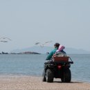 바다가는길 - 서귀포시 남성중로 40 | 바다가는길