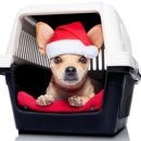 해돋이목장 이미지